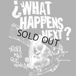 画像1: WHAT HAPPENS NEXT? / O segundo ano e alguma outra caca (cd) Laja 