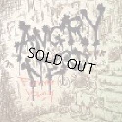 画像1: ANGRY NERD / Forever Young (cd) nodevans 