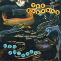 BANANAS / New Animals (cd) Recess