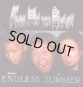 FUCK ON THE BEACH / Endless Summer (cd) Slap a ham