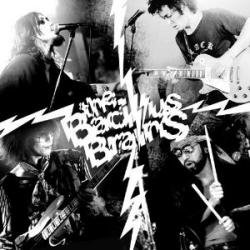 画像1: THE BACILLUS BRAINS  / 祭り囃子がきこえる(限定版) (2cd+dvd) TEXTURE 