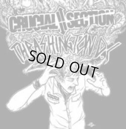 画像1: CRUCIAL SECTION, THRASHINGTON DC / split (7ep) Crew for life