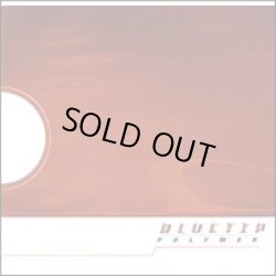 画像1: BLUETIP / Polymer (cd) Dischord