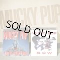 MUCKY PUP / A Boy In A Mans World + Now (cd) I SCREAM