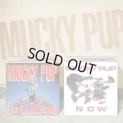 画像1: MUCKY PUP / A Boy In A Mans World + Now (cd) I SCREAM