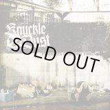 画像: KNUCKLEDUST / Promises Comfort Fools (cd+dvd) GSR Music