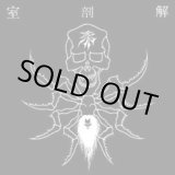 画像: 解剖室 / 邪 (Lp) HG fact 