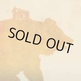 画像: THIS WILL DESTROY YOU / Young Mountain (CD) magic bullet