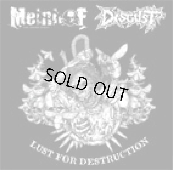 画像1: MEINHOF, DISGUST / LUST FOR DESTRUCTION split (cd) MCR company