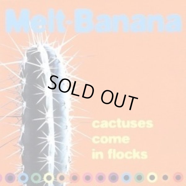 画像1: MELT-BANANA / Cactuses come in flocks (cd) A-zap