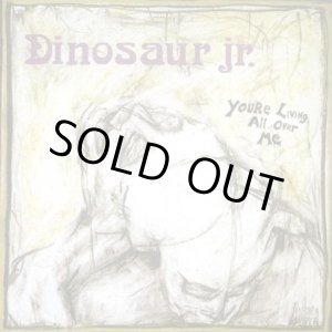 画像: Dinosaur Jr. / You're Living All Over Me (cd) Merge Records