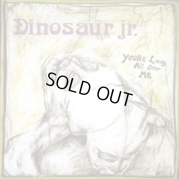 画像1: Dinosaur Jr. / You're Living All Over Me (cd) Merge Records
