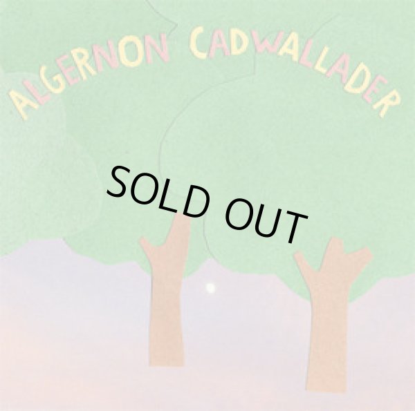 画像1: ALGERNON CADWALLADER / Some Kind of Cadwallader (Lp) Be happy!