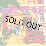 画像: BUSHMIND / Graze The Sky (cd) KWANZAA