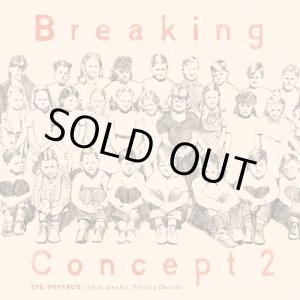 画像: V.A / Breaking Concept vol.2 (cd) Impulse