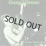 画像: GANG GREEN / Another Wasted Night (Lp) Taang!