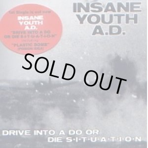 画像: INSANE YOUTH A.D. / Drive into a do or die (cd) 男道