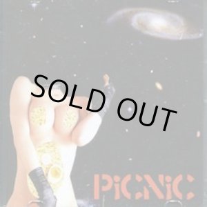 画像: PiCNiC / st (cd) Self