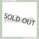 画像: FINAL YOUTH / Blade & armor  (7ep)