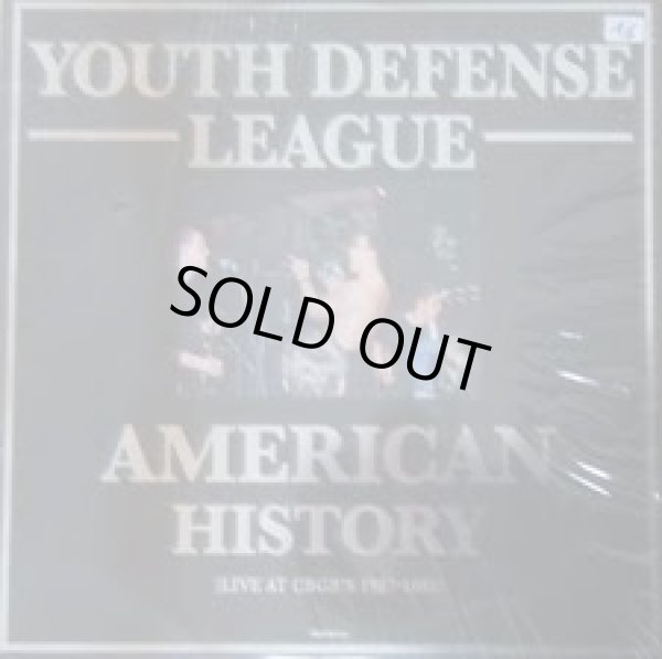 画像1: YOUTH DEFENSE LEAGUE / American History (Lp)