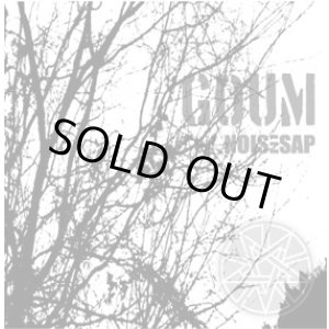 画像: GOUM / Noise sap (cd) Narm discos