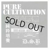 画像: D.S.B. / Pure Cultivation (7ep) Kangaroo