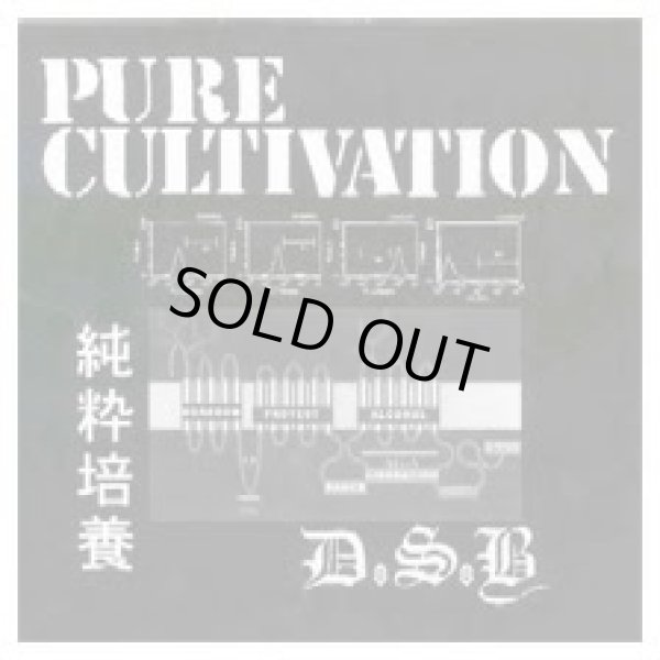 画像1: D.S.B. / Pure Cultivation (7ep) Kangaroo