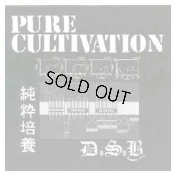 画像1: D.S.B. / Pure Cultivation (7ep) Kangaroo