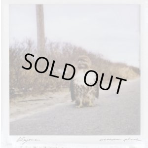 画像: LIBYANS / A Common place (Lp) Sorry state