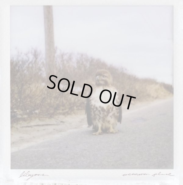 画像1: LIBYANS / A Common place (Lp) Sorry state