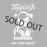画像: ZYANOSE / Why there grieve? (cd) L.a.r.v.a. 