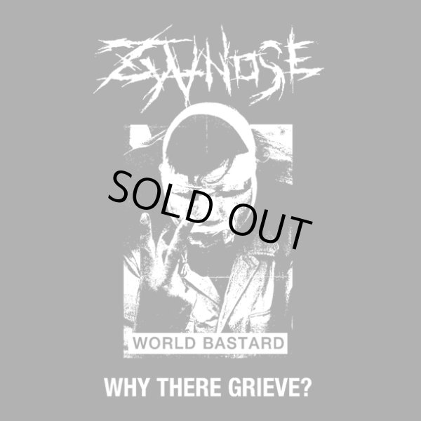 画像1: ZYANOSE / Why there grieve? (cd) L.a.r.v.a. 