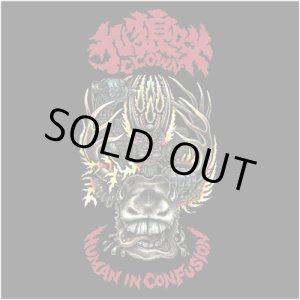 画像: 九狼吽 / Human in confusion (Lp)  Kamaset levyt 