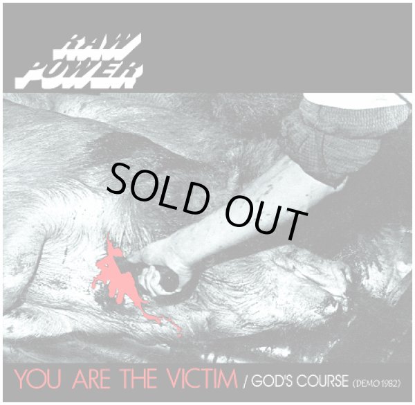 画像1: RAW POWER　/ You are the victim/God's course (cd) F.o.a.d 