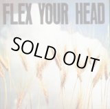 画像:  V.A / Flex your head (cd) Dischord 