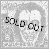 画像: SKIZOPHRENIA, VAASKA / split (7ep) 540/Todo destruido