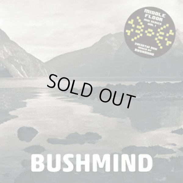 画像1: BUSHMIND / 2013 Dtw mix (cdr) Himcast/Dcr