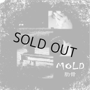 画像: MOLD / 肋骨 (cdr) Self 