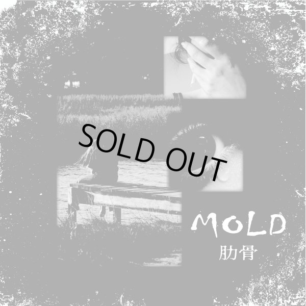 画像1: MOLD / 肋骨 (cdr) Self 