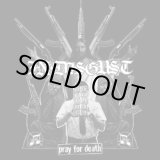 画像: IN DISGUST, P.L.F. / split (cd)(Lp) Rsr