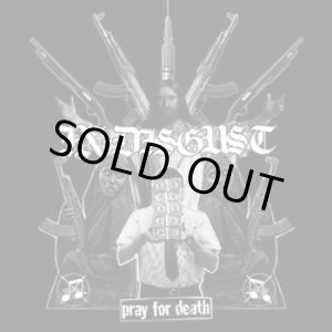 画像: IN DISGUST, P.L.F. / split (cd)(Lp) Rsr