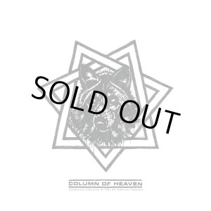 画像: COLUMN OF HEAVEN / Ecstatically embracing all that we habitually suppress (Lp) Rsr