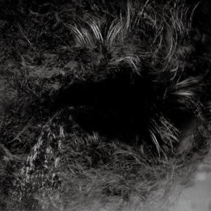 画像: CORRUPTED / 喪失:Loss (7ep) Crust war 