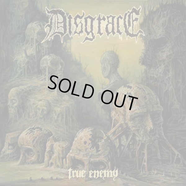 画像1: DISGRACE / True enemy (cd)(Lp) Closed casket activities