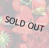 画像: VEKTOR / Strawberry edition (cd) Atakamo 