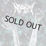 画像: NOISEM / Blossoming decay (cd) A389 