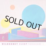 画像: WILD HONEY / Sleep through it (Lp) Deranged 