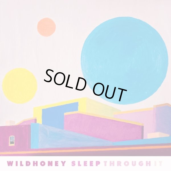 画像1: WILD HONEY / Sleep through it (Lp) Deranged 