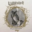 画像1: LUDICHRIST / God is everywhere:demos '85/Live at CBGB '86 (2Lp) F.o.a.d. 