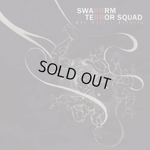 画像1: TERROR SQUAD, SWARRRM / split -The fierce trinity- (7ep) Break the records 